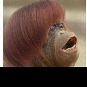 Meet your Posher, Tavvara